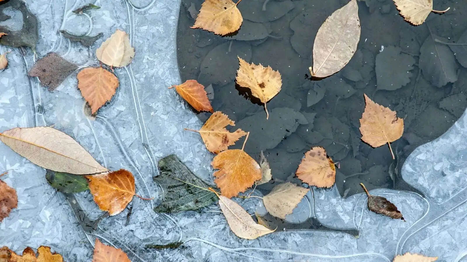 Slipped On Ice, Can I File An Injury Lawsuit?